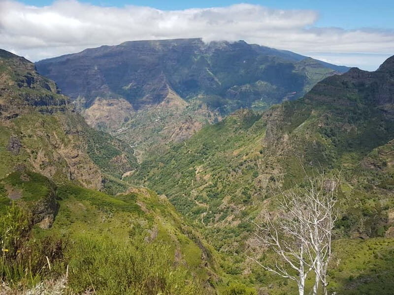 Madeira: Private Laurisilva Tour - An In-Depth Look at the Madeira Private Laurisilva Tour