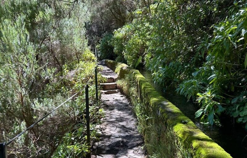 Madeira: Private Levada/Hike Experience with a Local Guide - Why We Love This Tour