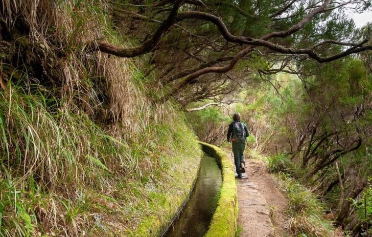 Madeira: Private Levada/Hike Experience with a Local Guide - What’s Included and What to Bring