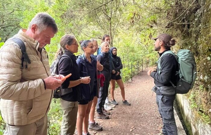Madeira: Private Levada/Hike Experience with a Local Guide - FAQ