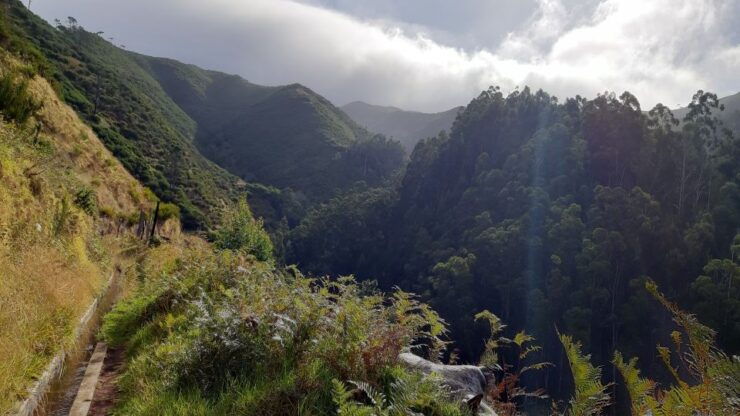 Madeira: Private Levada Ponta Do Pargo Walk - Experience Highlights