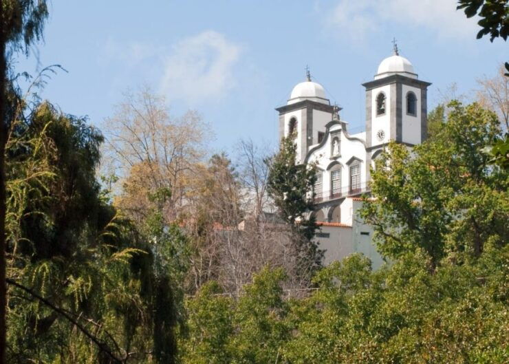 Madeira: Private Monte Tour by Cable Car With Transfer - Activity Highlights and Details