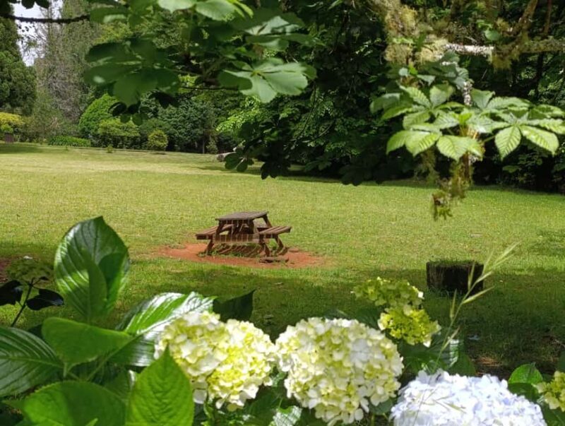 Madeira: Private Romantic Jeep Tour & Secret Picnic for Two - FAQ about the Madeira Private Romantic Jeep Tour & Secret Picnic