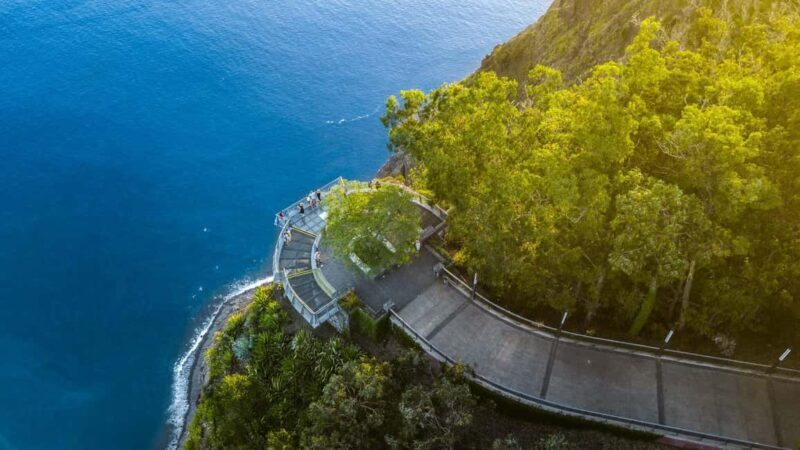 Madeira: Private Tour for Cruise Ship Passengers - Good To Know