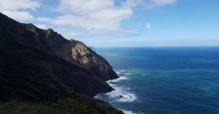 Madeira: Private Vereda Do Larano Hike - Booking and Logistics