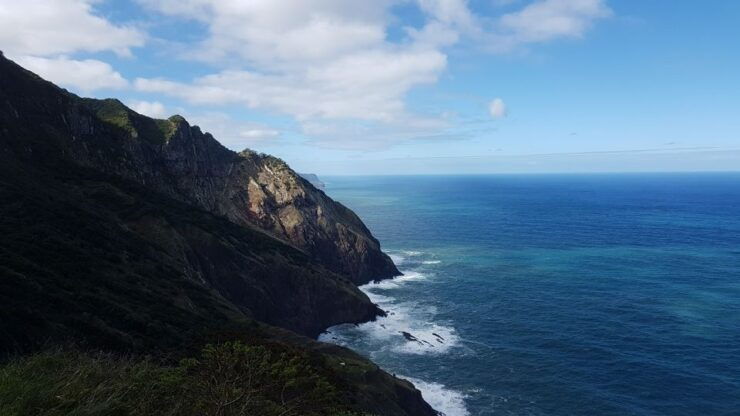 Madeira: Private Vereda Do Larano Hike - Experience Highlights