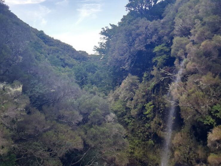Madeira: Private Walking Tour of Levada Das 25 Fontes PR6 - Pickup Information
