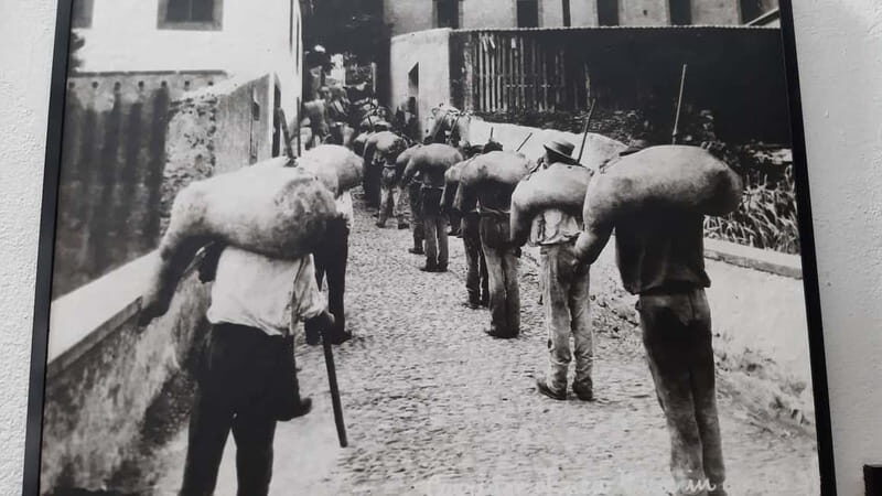 Madeira: Private Weekend Wine Tasting in São Vicente - Practical Tips for Enjoying the Experience