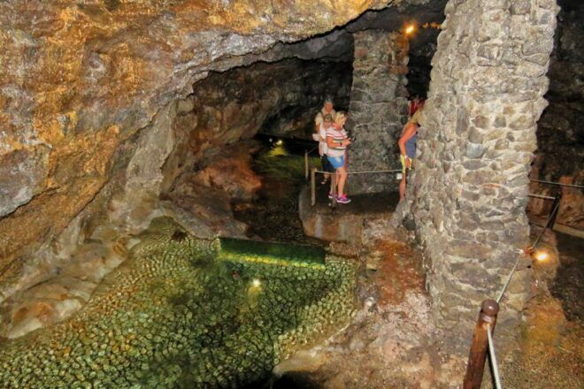 Madeira : Private Wine Experience by 4WD - Booking Information