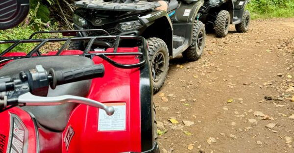 Madeira: Quad Bike Off-road Experience - Riding the Quad Bikes