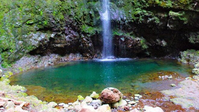 Madeira: Queimadas, Caldeirão Verde and Levada Walk - Experience the Beauty of Caldeirão Verde Waterfall