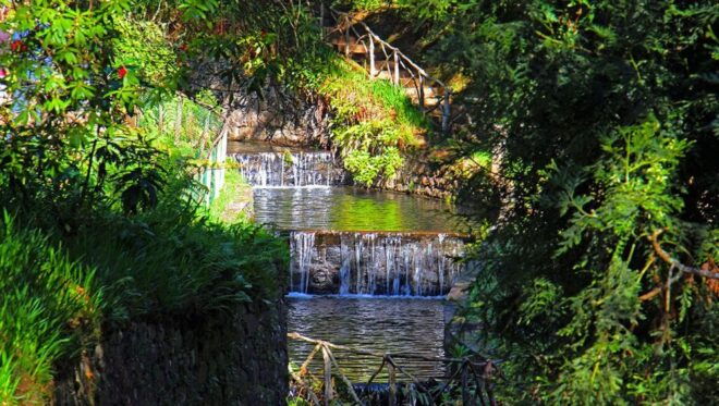 Madeira: Queimadas, Caldeirão Verde and Levada Walk - Exploring Typical Villages Along the Levada Path