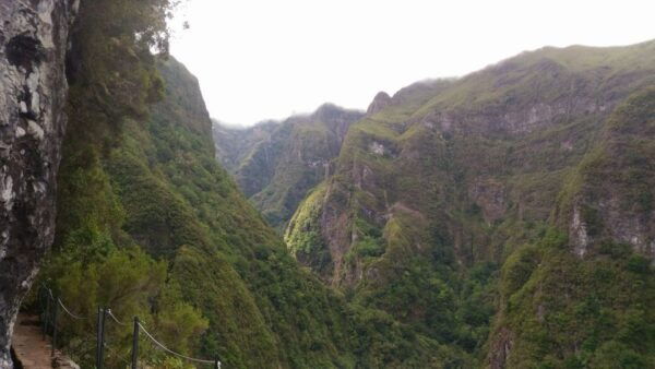 Madeira: Queimadas, Caldeirão Verde and Levada Walk - Positive Feedback From Satisfied Travelers