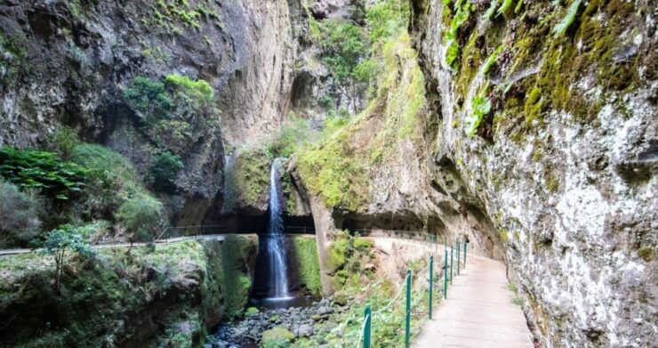 Madeira: Reach the Sun Hike Levada Nova Moinhos Ponta Do Sol - Tour Details