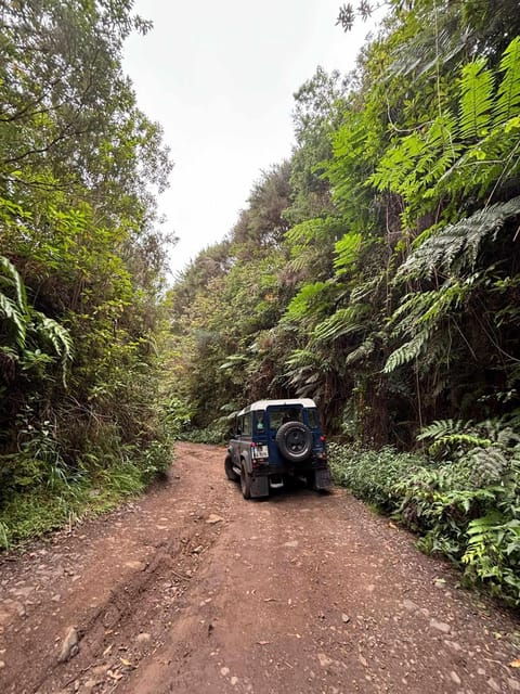 Madeira: Santana; Discover the enchanting East: Duration 7,5h - Practical Details and Tips