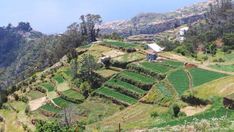 Madeira: Santana Jeep Safari and Balções Levada Walk - Authentic Reviewer Insights