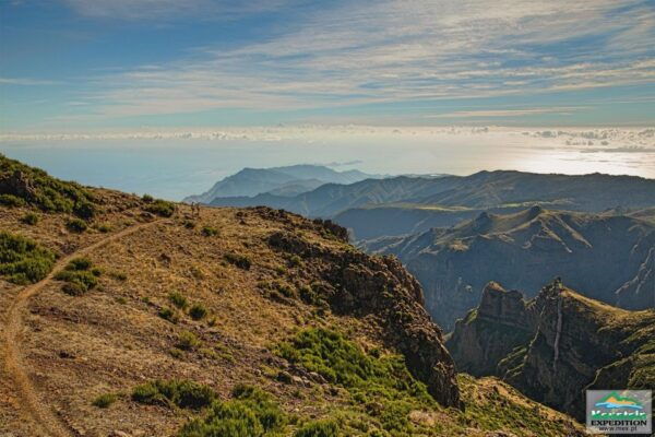 Madeira: Santana Jeep Safari and Levada Tour - Marveling at the Typical Houses in Santana