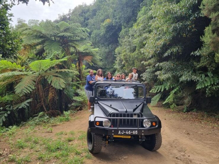 Madeira : Santana, Pico Arieiro, Walk Full Day 4x4 Jeep Tour - Activity Description