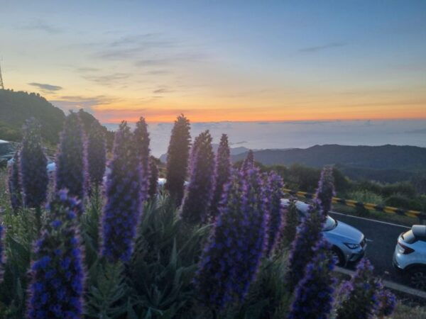 Madeira : Santana, Pico Arieiro, Walk Full Day 4x4 Jeep Tour - The Sum Up