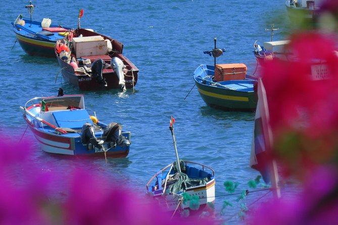 Madeira Sea Cliff and Camara De Lobos 4WD Half Day Tour - Small-Group Experience