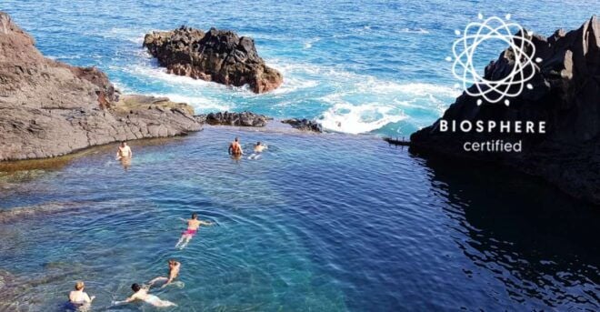 Madeira: Skywalk, Porto Moniz Volcanic Pools, and Fanal Tour - Customer Reviews