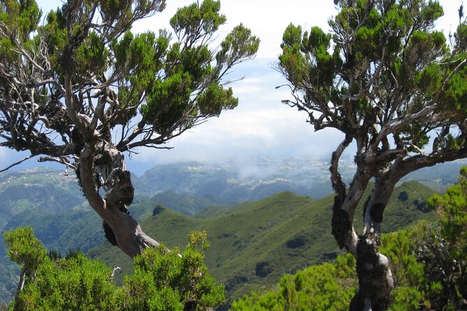 Madeira Small-Group Arieiro Peak Hike - Pickup Details