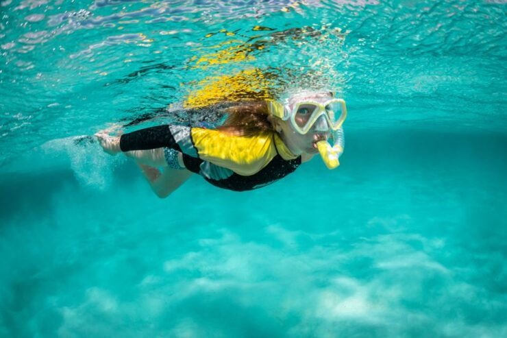 Madeira: Snorkeling Trip Marine Reserve of Garajau - Activity Details