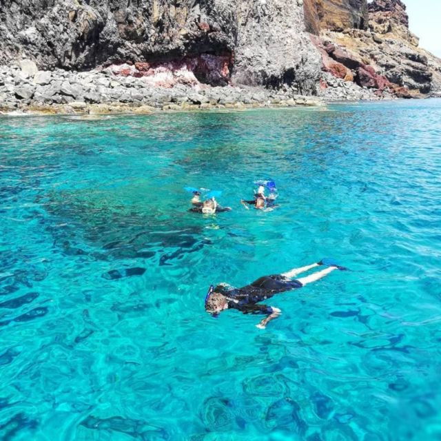 Madeira: Snorkeling Trip Marine Reserve of Garajau - Live Tour Guide in English