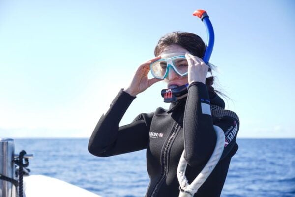 Madeira: Snorkeling Trip Marine Reserve of Garajau - Enjoying Views of the Island From the Sea