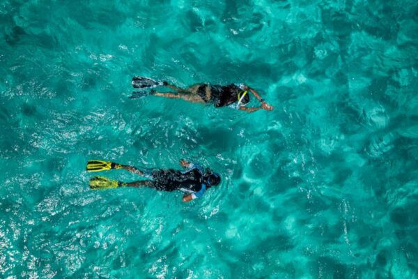Madeira: Snorkeling Trip Marine Reserve of Garajau - Common Questions