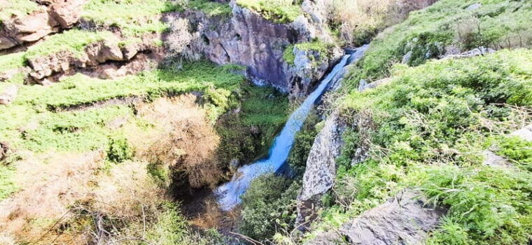 Madeira: South Madeira Private 4x4 Tour with Pickup - Who Should Book This Tour?