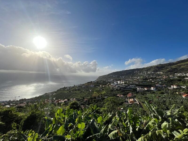Madeira South Tour: Cabo Girão, Waterfalls for Cruise Ship - Good To Know