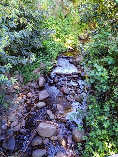 Madeira Special Machico and Porto Da Cruz 4 Hours Jeep Tour! - Booking Details