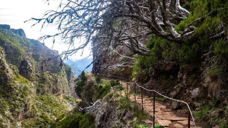 Madeira: Stairway To Heaven Pico Areeiro to Pico Ruivo Hike - Tour Itinerary