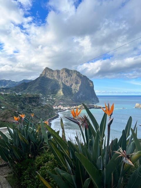 Madeira Stairway to Heaven to Larano Hike Mountain to Sea - Good To Know