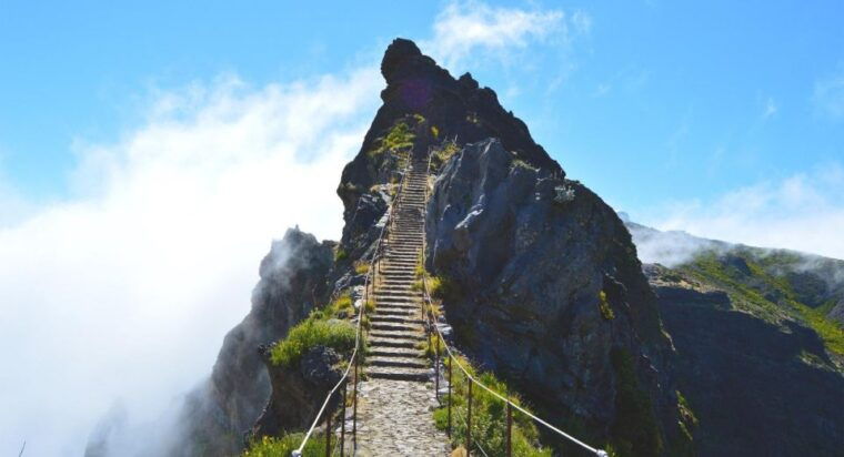 Madeira Stairway to Heaven to Larano Hike Mountain to Sea - The Sum Up: Who Is This Tour Perfect For?