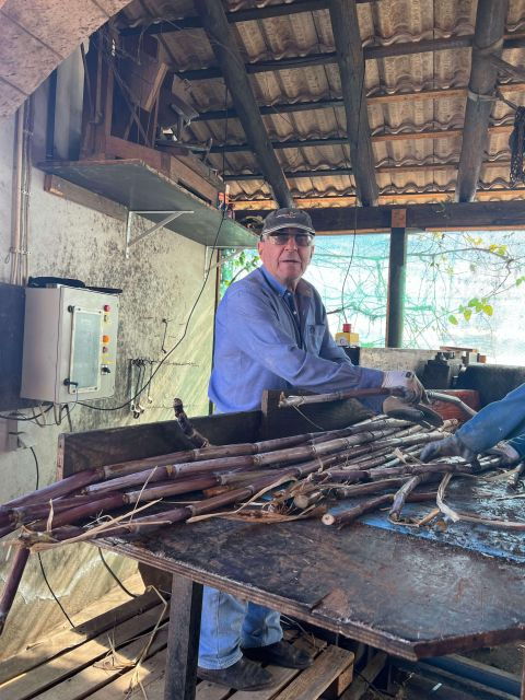 Madeira Sugar Cane Rum Tasting Experience - Booking Information