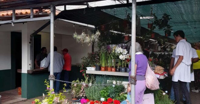 Madeira: Sunday Market in Santo Da Serra - The Santo Da Serra Market