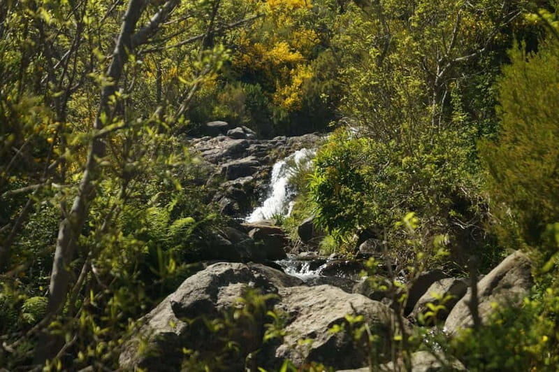 Madeira : Sunrise at Pico do Arieiro + 2 Hikes - PR1 and PR3 - Things to Consider Before Booking
