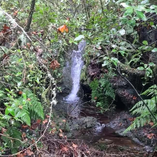 Madeira: Surreal East Experience - Good To Know