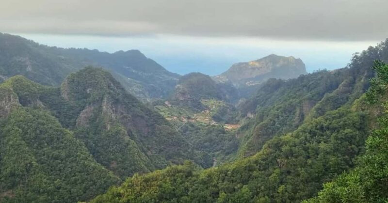 Madeira: Surreal East Experience - An In-Depth Look at the Madeira: Surreal East Experience