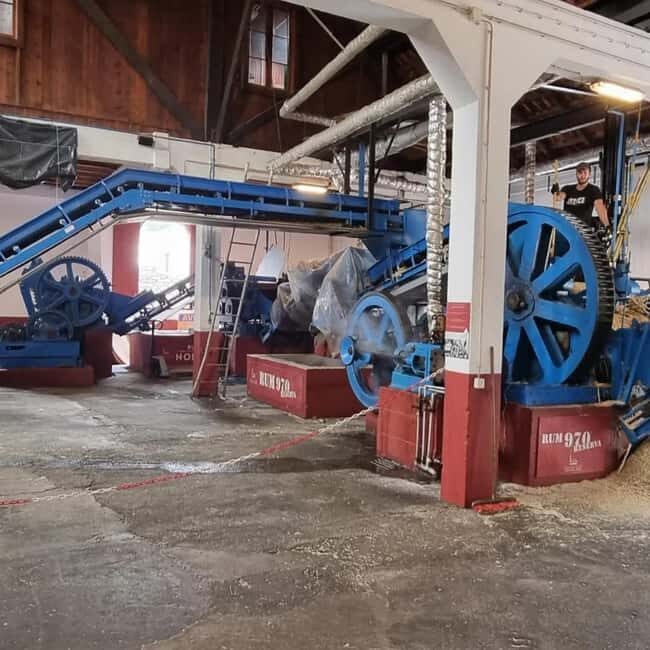 Madeira: Surreal East Experience - Frequently Asked Questions