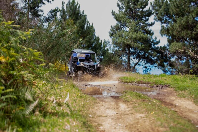 Madeira: Trail Thrill Buggy Tour - Good To Know