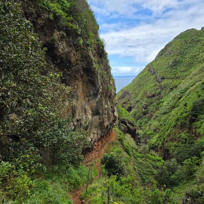 Madeira: Vereda da Ladeira Challenging Full-Day Hike - Who Is This Tour For?
