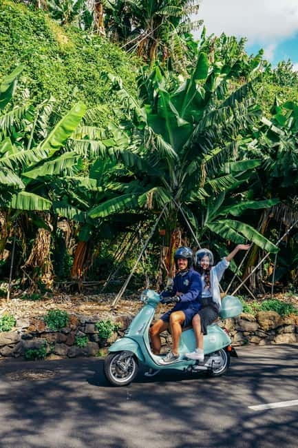 Madeira: Vespa Primavera 125cc 24-Hour Rental - The Sum Up