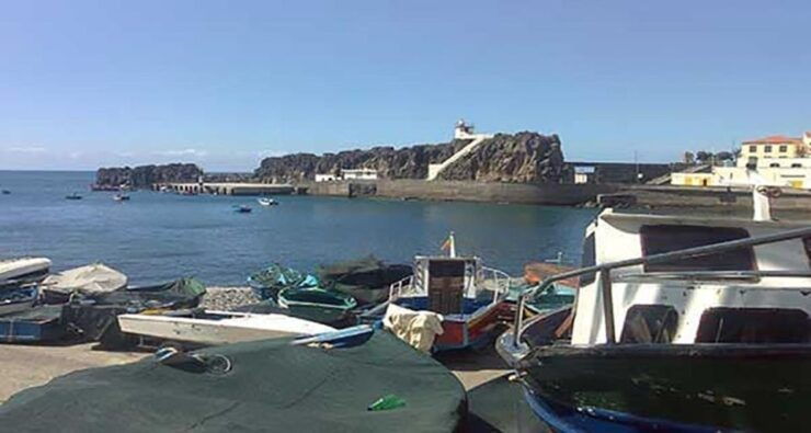 Madeira - Vineyard Tour Wine Tasting - Included - Experience Itinerary