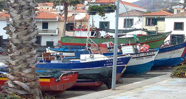 Madeira - Vineyard Tour Wine Tasting (Included) - Activity Details