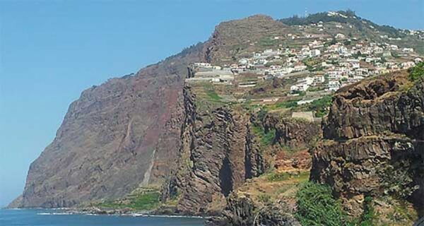 Madeira - Vineyard Tour Wine Tasting (Included) - Tour Guide Availability