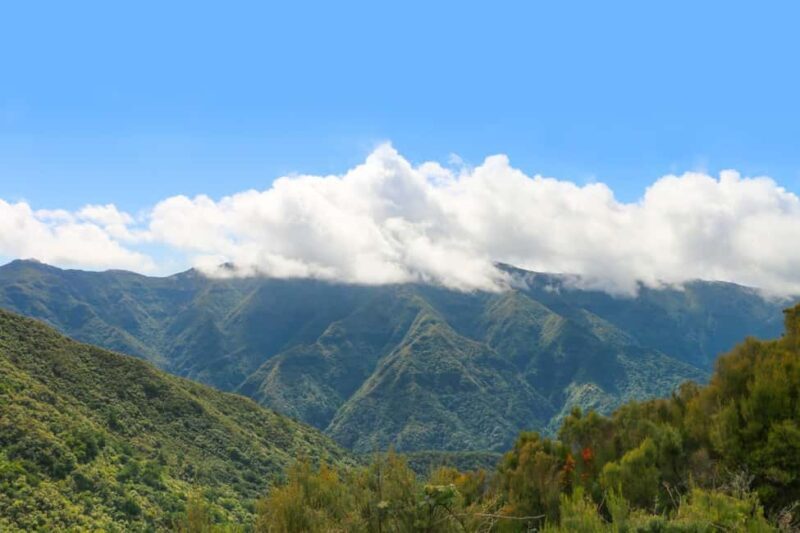 Madeira: Walk in Fanal and Seixal Beach Guided Tour - Detailed Review of the Tour