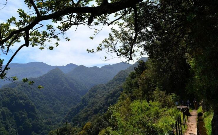Madeira: Walking Tour Levada Do Rei/Ribeiro Bonito - Pricing and Cancellation Policy